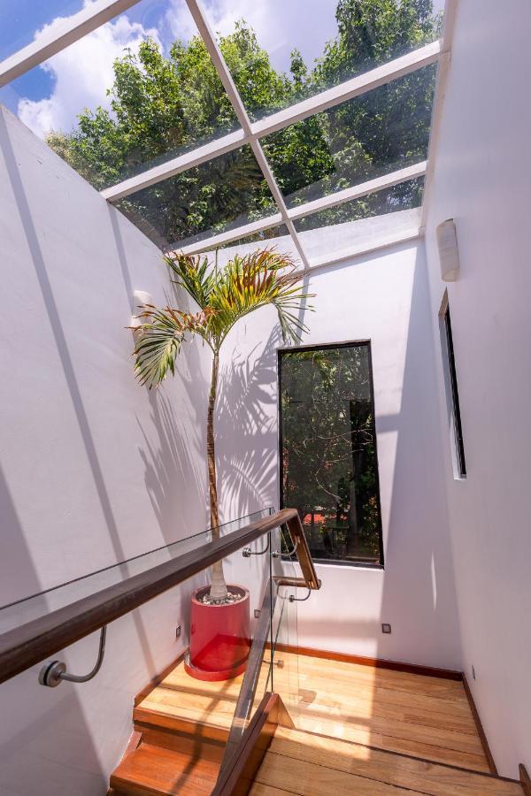 Casa Blanca In Coyoacan Мехико Экстерьер фото